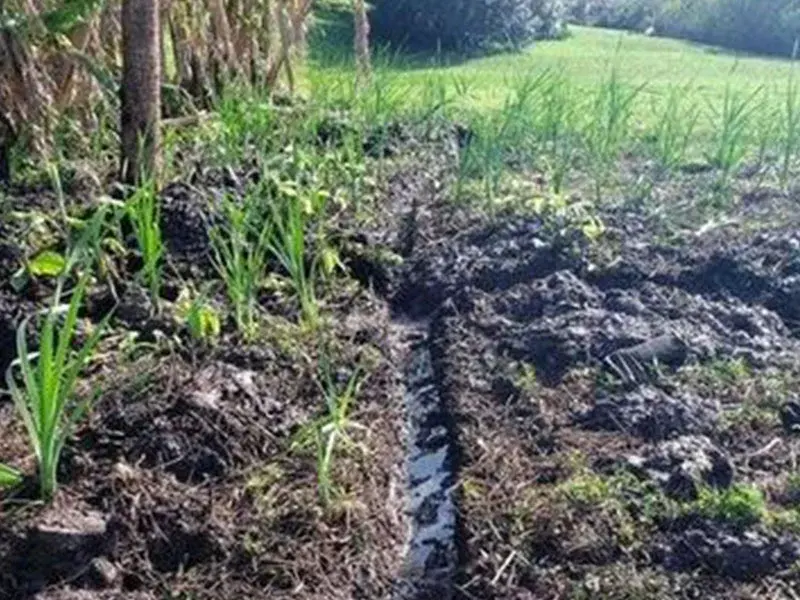 Drainage Repair Service in Indian Harbour Beach, FL
